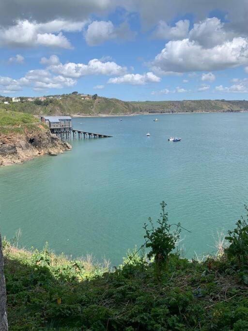 Lobster Cottage - Stylish 3 Bedroom Cottage In Heart Of Tenby Town, Pembrokeshire Exteriör bild